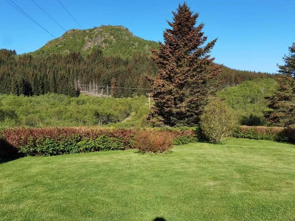 Banpim Hillside Lofoten With Jacusszi Gravdal  المظهر الخارجي الصورة