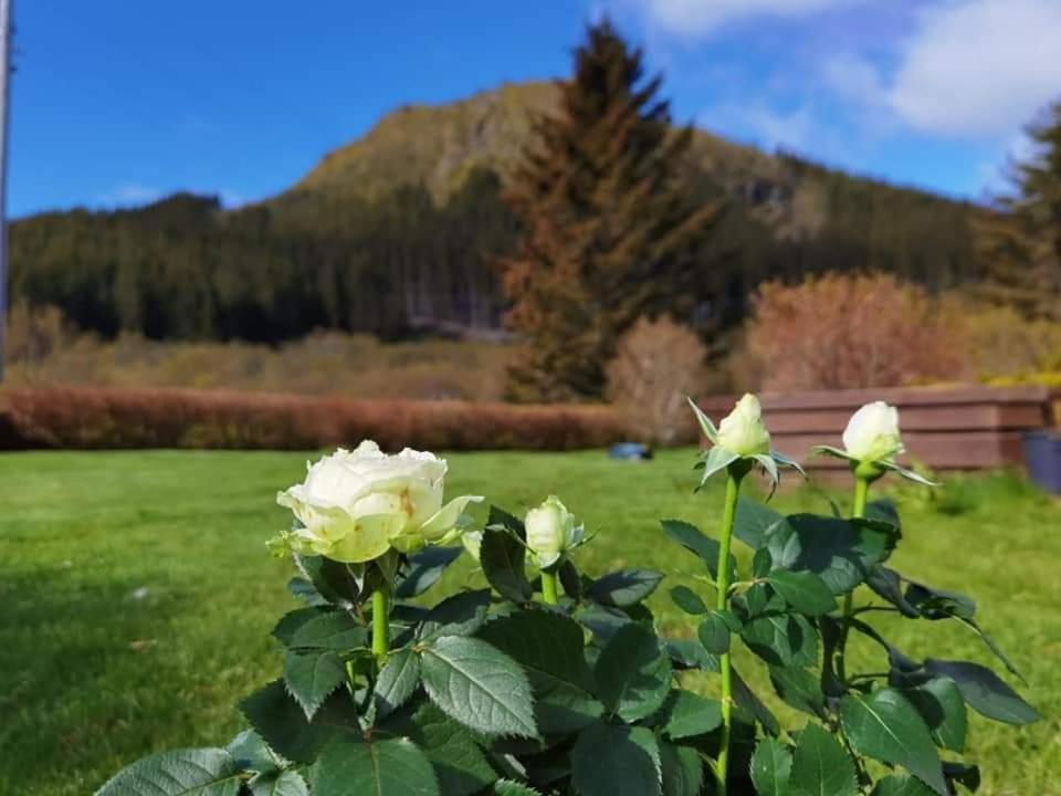 Banpim Hillside Lofoten With Jacusszi Gravdal  المظهر الخارجي الصورة