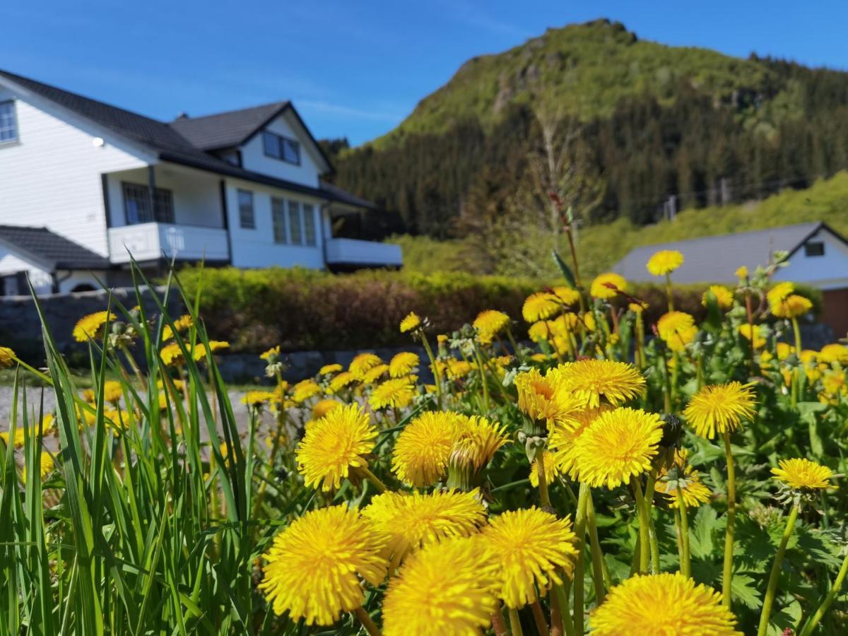 Banpim Hillside Lofoten With Jacusszi Gravdal  المظهر الخارجي الصورة