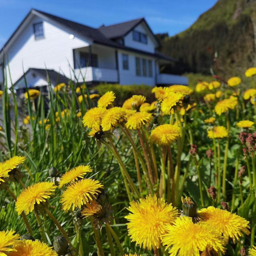 Banpim Hillside Lofoten With Jacusszi Gravdal  المظهر الخارجي الصورة